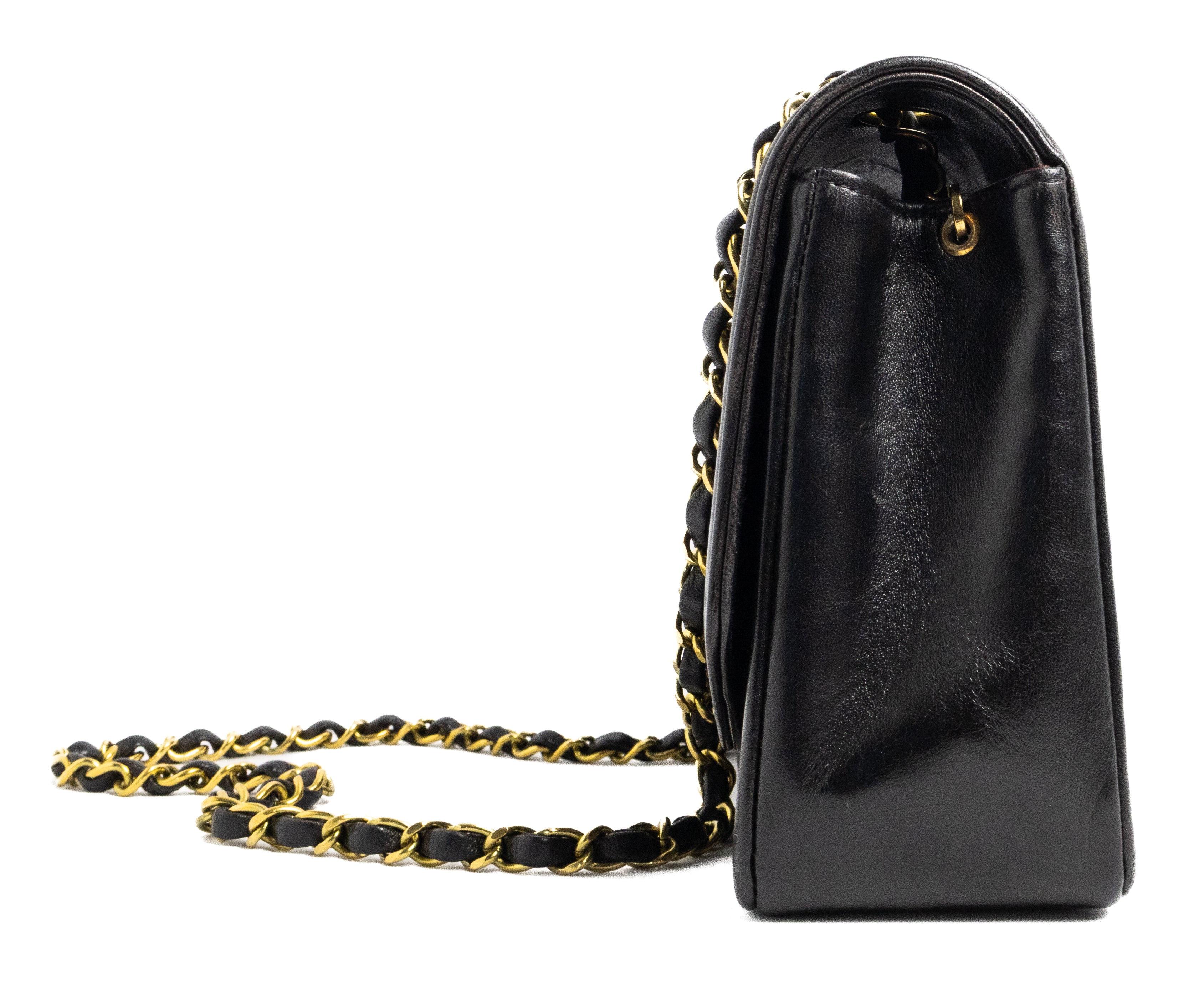 Chanel Medium Diana